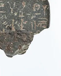 Skarabeusz, detal 2